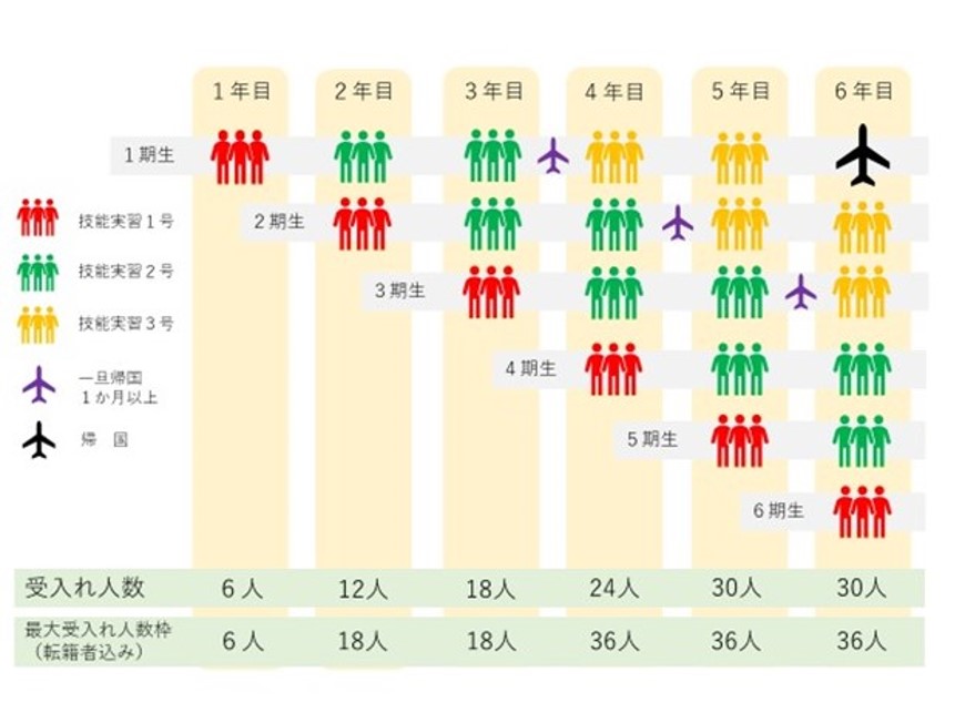 技能実習生の人数枠例