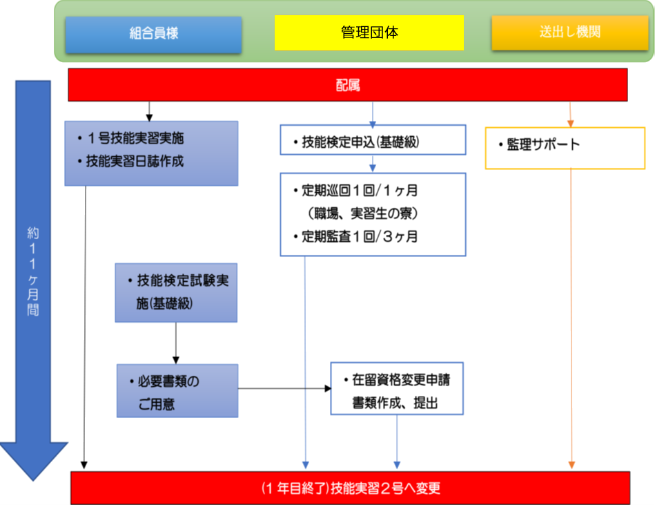 配属～1号終了までの流れ